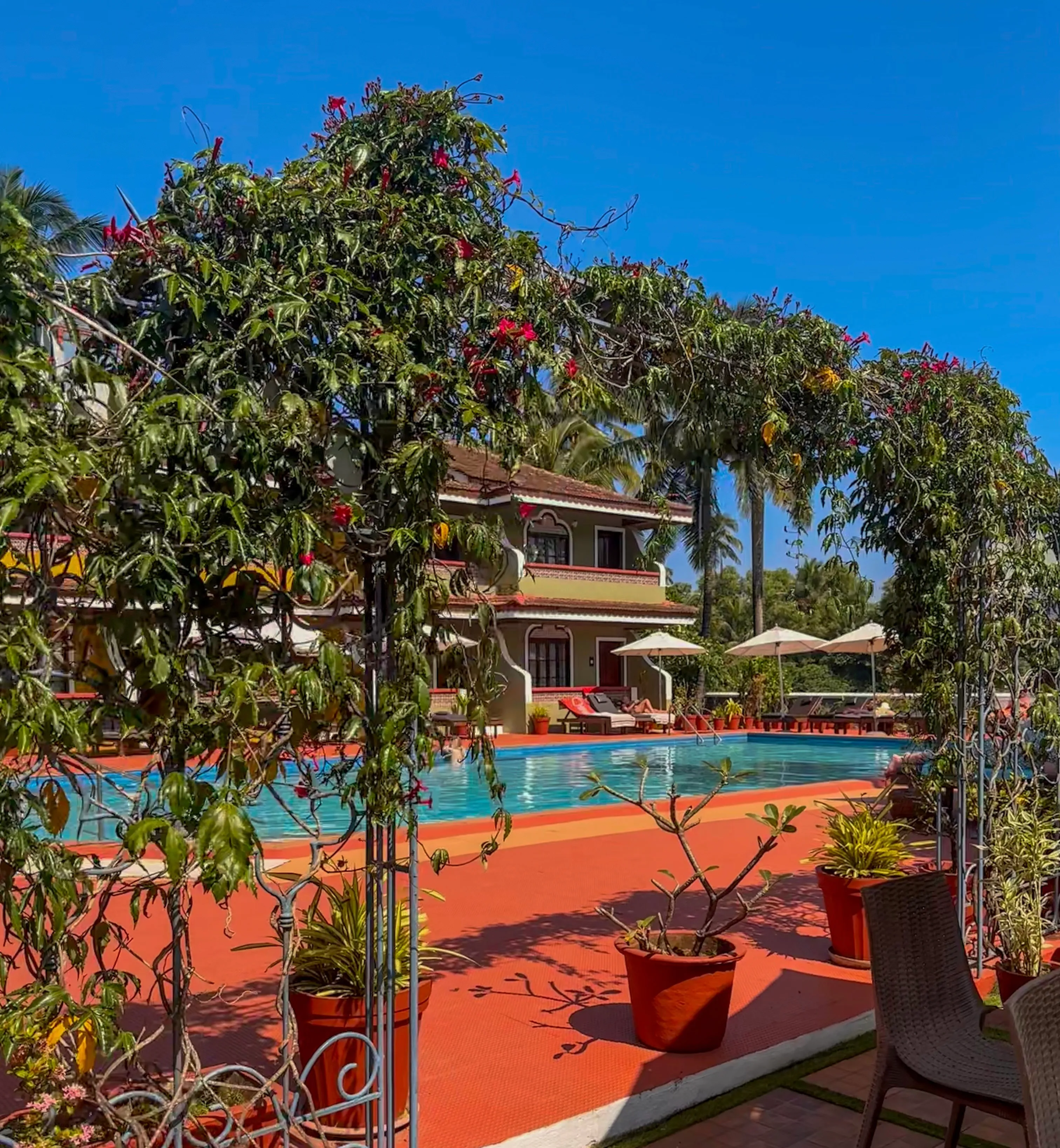 Skylark Resort exterior in Colva, South Goa with tropical greenery and open-air architecture