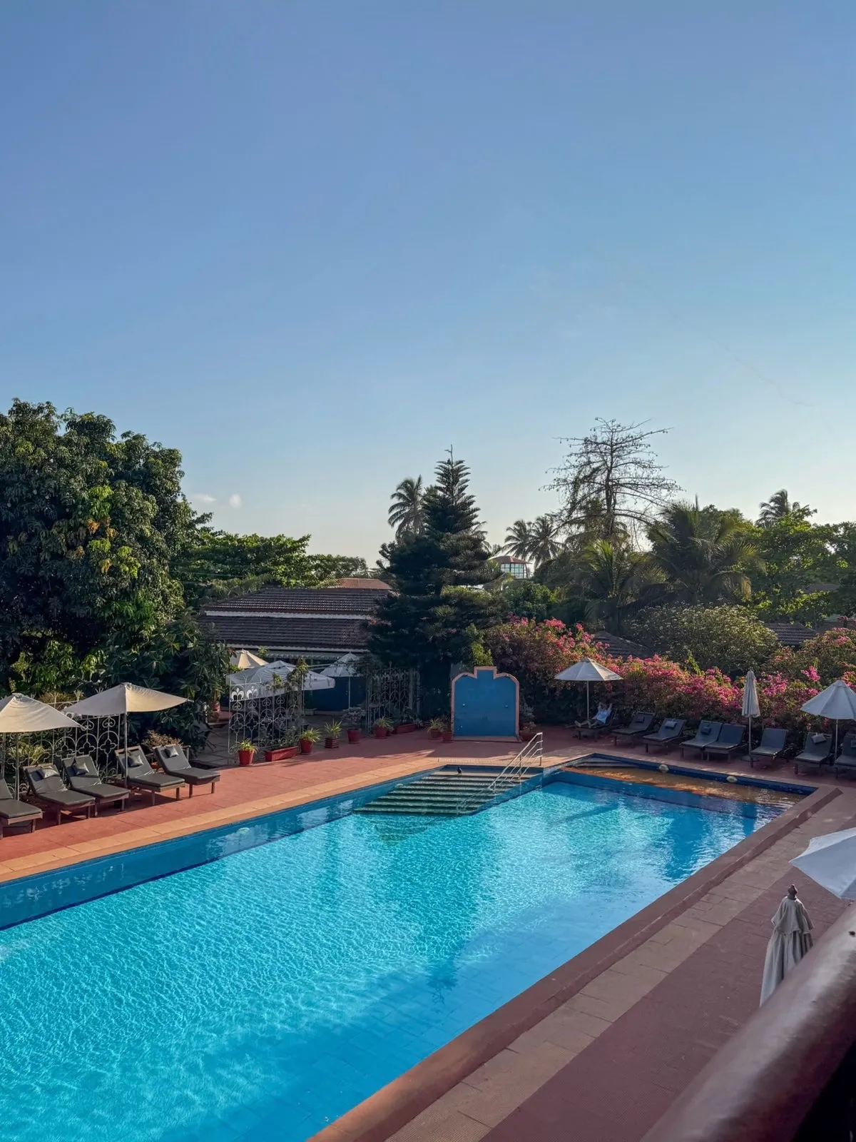 Pool at Skylark Resort with sun loungers and surrounding greenery